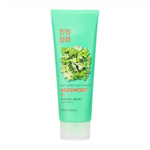 Holika Holika Pure Essence Mugwort Foam Cleanser